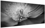 Mivali Tablou păpădii desflorite, dintr-o bucată 200x100 cm (V022273V200100)