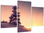 Mivali Tablou cu copac înzăpezit pe luncă, din trei bucăți 90x60 cm (V020701V90603PCS)