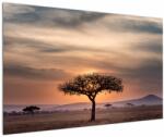 Mivali Tablou apusului de soare în Tanzania, dintr-o bucată 120x80 cm (V021578V12080)