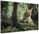 Mivali Tablou cu vulpe, dintr-o bucată 100x70 cm (V020956V10070)