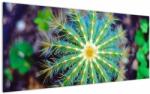 Mivali Tablou cu cactus, dintr-o bucată 120x50 cm (V020556V12050)