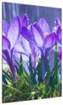 Mivali Tablou cuflori în ploaie, dintr-o bucată 50x70 cm (V020707V5070)