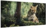 Mivali Tablou pe sticlă cu vulpe, dintr-o bucată 100x50 cm pe sticlă (V020956V10050GD)