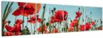 Mivali Tablou - Pe câmpul cu maci, din patru bucăți 160x40 cm (V021727V16040)