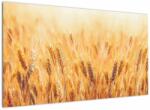 Mivali Tablou - câmp cu grâne, dintr-o bucată 120x70 cm (V022021V12070)