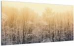 Mivali Tablou pe sticlă cu pădure geroasă, dintr-o bucată 100x50 cm pe sticlă (V022162V10050GD)