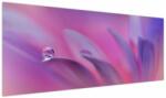 Mivali Tablou - Picătură pe floare, dintr-o bucată 145x58 cm (V024022V14558)