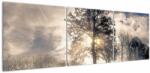 Mivali Tablou cu copac în ceață, din trei bucăți 150x50 cm (V020378V15050)