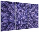 Mivali Tablou cu copacii înzăpeziți, din trei bucăți 120x80 cm (V021148V120803PCS)