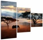 Mivali Tablou - Parcul Național Serengeti, Tanzania, Africa (cu ceas), din trei bucăți 90x70 cm cu ceas (V023034V9070C)