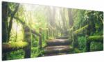 Mivali Tablou - trepte din lemn în pădure, dintr-o bucată 145x58 cm (V020593V14558)