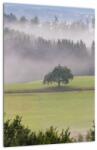 Mivali Tablou - Lunca cu copac, dintr-o bucată 30x40 cm (V022721V3040)