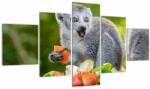 Mivali Tablou cu lemur, din cinci bucăți 125x70 cm (V021127V12570)