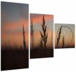 Mivali Tablou - Silueta plantei (cu ceas), din trei bucăți 90x70 cm cu ceas (V022647V9070C)