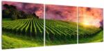 Mivali Tablou cu vie cu cerul color, din trei bucăți 120x40 cm (V020336V12040)