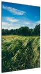 Mivali Tablou cu linca și pădure, dintr-o bucată 60x90 cm (V021343V6090)