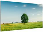Mivali Tablou cu copaci pe luncă, dintr-o bucată 120x70 cm (V021171V12070)