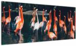 Mivali Tablou - turmă de flamingo, dintr-o bucată 100x40 cm (V021626V10040)