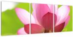 Mivali Tablou cu flori de lotus, din trei bucăți 90x30 cm (V021697V9030)