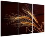 Mivali Tablou - Spic în prim plan, din trei bucăți 120x80 cm (V022569V120803PCS)