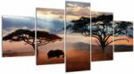 Mivali Tablou - Parcul Național Serengeti, Tanzania, Africa, din cinci bucăți 150x80 cm (V023034V150805PCS)