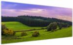 Mivali Tablou cu lunca, dintr-o bucată 250x125 cm (V020343V250125)
