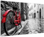 Mivali Tablou - Bicicleta roșie pe o stradă pavată, dintr-o bucată 90x60 cm (V023213V9060)