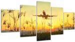 Mivali Tablou cu avion zburând, din cinci bucăți 150x80 cm (V020504V150805PCS)