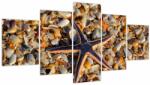 Mivali Tablou cu stea de mare (cu ceas), din cinci bucăți 150x80 cm cu ceas (V020652V15080C)