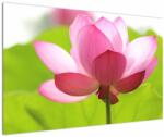 Mivali Tablou cu flori de lotus, dintr-o bucată 120x80 cm (V021697V12080)
