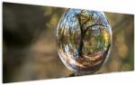 Mivali Tablou - Reflecție intr-o sferă transparentă, dintr-o bucată 120x50 cm (V022641V12050)