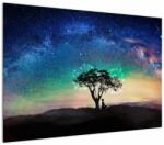 Mivali Tablou - Relaxare sub stele, dintr-o bucată 100x70 cm (V022744V10070)