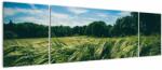 Mivali Tablou cu linca și pădure, din trei bucăți 170x50 cm (V021343V17050)