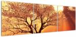 Mivali Tablou cu razele lui Dumnezeu, din trei bucăți 150x50 cm (V021190V15050)