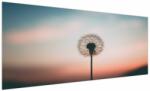 Mivali Tablou - Te țin, păpădie, dintr-o bucată 250x125 cm (V021646V250125)