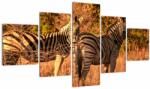 Mivali Tablou cu zebre, din cinci bucăți 125x70 cm (V021188V12570)