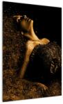 Mivali Tablou - Femeia din aur, dintr-o bucată 50x70 cm (V023500V5070)
