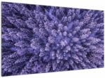 Mivali Tablou cu copacii înzăpeziți, dintr-o bucată 120x70 cm (V021148V12070)