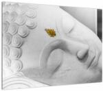 Mivali Tablou pe sticlă - Buddha alb, dintr-o bucată 70x50 cm pe sticlă (V023201V7050GD)