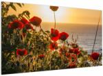Mivali Tablou cu apus de soare cu flori de maci, dintr-o bucată 120x70 cm (V020877V12070)