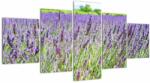 Mivali Tablou - Lavandă în câmp, din cinci bucăți 150x80 cm (V022561V150805PCS)