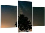 Mivali Tablou cu cerul nocturn și copaci, din trei bucăți 90x60 cm (V020879V90603PCS)