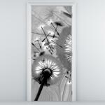 Mivali Fototapeta pentru ușă (D014176D95205)