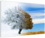 Mivali Tablou - Schimbarea anotimpurilor, dintr-o bucată 90x60 cm (V023329V9060)