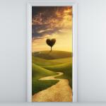 Mivali Fototapeta pentru ușă - potecă ăntre lunci (D011388D95205)