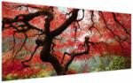 Mivali Tablou - Arțarul japonez roșu, Portland, Oregon, dintr-o bucată 120x50 cm (V023677V12050)