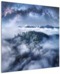 Mivali Tablou pădurii în ceață, dintr-o bucată 70x70 cm (V022302V7070)