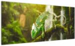 Mivali Tablou - cameleon, dintr-o bucată 100x40 cm (V020277V10040)
