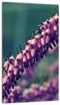 Mivali Tablou cu floare violetă, dintr-o bucată 20x30 cm (V020421V2030)