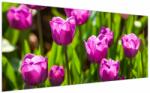 Mivali Tablou cu lale pe luncă, dintr-o bucată 200x100 cm (V020893V200100)